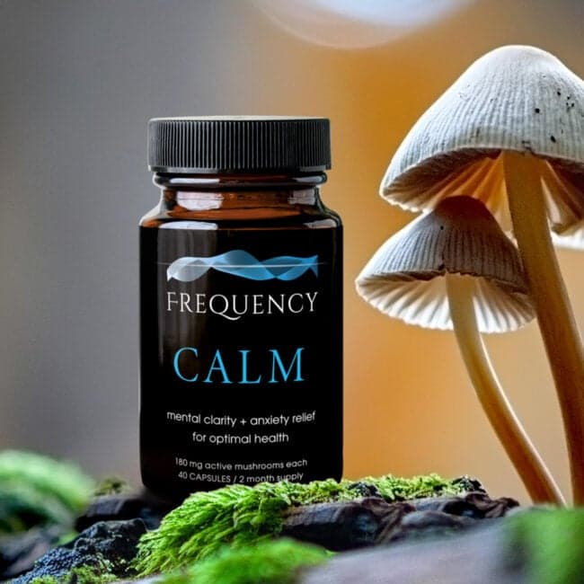 Calm + Lion's Mane Bundle