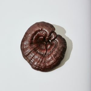 Reishi - Image 5