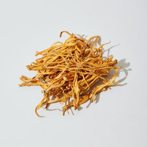 Cordyceps - Image 6